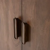 Liya 2-deurs kast mangohout donkerbuin WOOOD